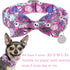 Halloween Dog Collar with Bow Tie, Pumpkin Cotton Bowtie Collar for Puppy Girl Dog or Cat, Halloween Bow Tie Collar with Durable Metal Buckle, Ado...