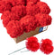 Royal Imports Artificial Carnations, Silk Faux Flowers, for Funeral Arrangements, Wedding Bouquets, Cemetery Wreaths, DIY Crafts - 100 Single 5" S...