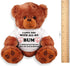 Romantic Gift Bear for Couple: Large 13" Inch Teddy Bear Funny Stuffed Animal: Unique Love You Gift : I Love You Bigger Than My Heart: Cute Relati...