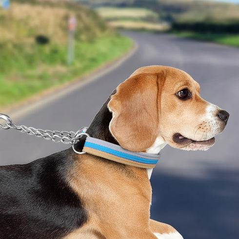 YAODHAOD Martingale Dog Collar,Cotton Woven Safety Escape-Proof Pet Collars,Adjustable Limited Cinch Chain Pet Gear for No Pull Leash Walking for ...