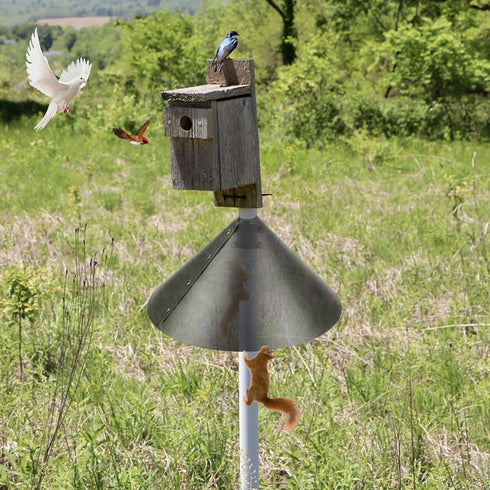2 Pack Squirrel Baffle Accessory for Bird Feeder Pole and Bird Houses, Pole Mounted Buckle Stopper for Guarding Birdhouse (Baffle Not Included)...