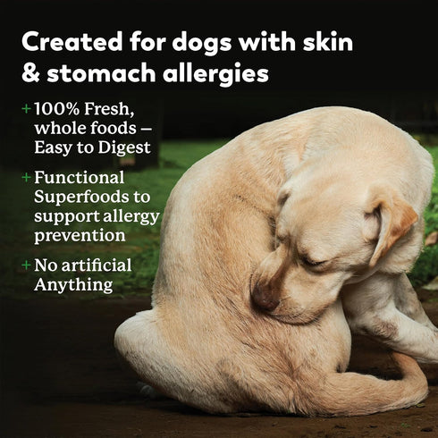 Dr. Harvey's Specialty Diet Allergy Salmon Recipe, Human Grade Dog Food for Dogs with Sensitivities and Allergies Trial Size (5.5 Oz)...