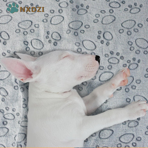 1 Pc Dog Blankets Washable - Soft Dog Blanket for Medium Dogs and Cats,Fluffy Flannel Pet Blanket Mat Cover for Bed Couch, Cute Print Puppy Blanke...