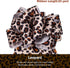 Chuangdi Leopard Print Ribbon 1.5 Inch 20 Yards Cheetah Print Ribbon Grosgrain Christmas Animal Leopard Craft for Hair Bows Headbands Making and C...
