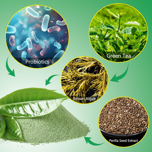 Teeth Cleaning Powder for Dogs, Dog Breath Freshener, Dental Powder for Dogs Teeth with Probiotics Help Reduce Bad Breath, Plaque Tartar Remover, ...