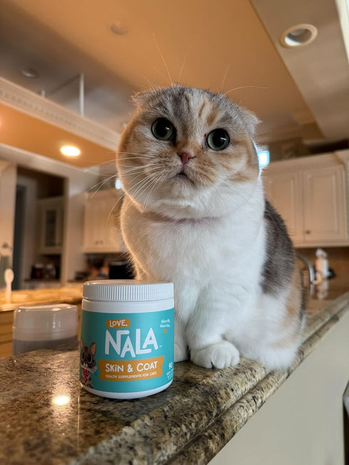 LOVE, NALA - Skin and Coat Supplement for Cats - 90 Tasty Soft Chews - Omega 3 Fish Oil, Biotin, Vitamin E Supports Skin & Fur Health - 3.2 oz...