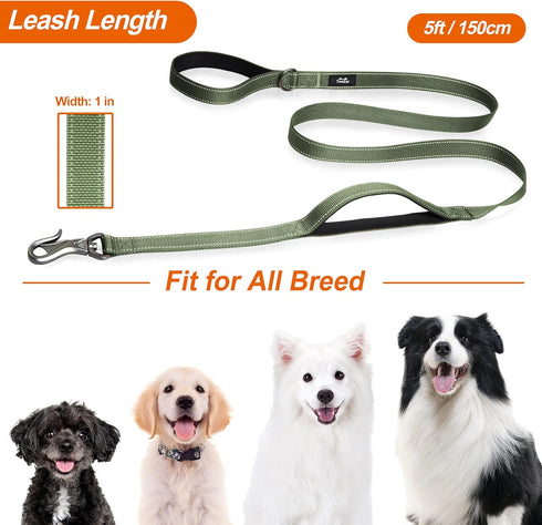 TwoEar 5FT 1IN Strong Green Dog Leash with 2 Padded Handles, Traffic Handle Extra Control, Comfortable Soft Dual Handle, Auto Lock Hook, Reflectiv...