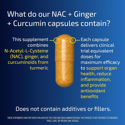 Blueprint Bryan Johnson NAC Supplement - Promotes Stress Relief, Immune System Function, Respiratory Health - includes N-Acetyl-L-Cysteine, Ginger...