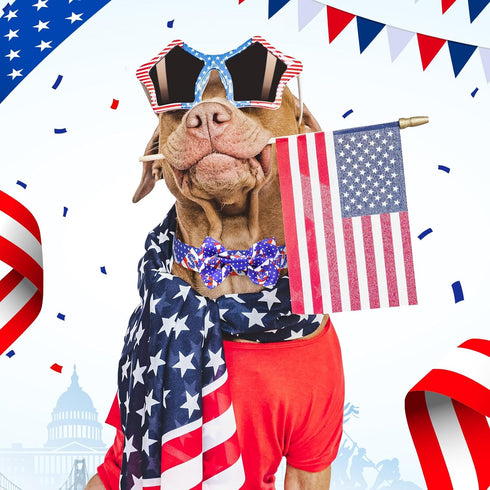 BiPawTi American Flag Dog Collar with Bowtie, 4th of July Dog Collar Holiday Pet Gift, Blue Pride Patriotic Dog Collar, USA Dog Collar for Indepen...