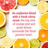 Home & Fabric Spray Air Freshener, Fragrance for Office, Car, Bathroom, Multiroom - Citric, 8.45 Oz (Pack of 1)...