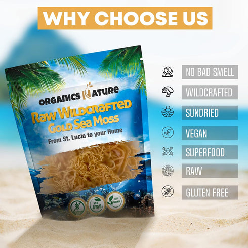 Organics Nature Raw Wildcrafted Sea Moss | Organic Wildcrafted & Non-GMO Certified | Dr Sebi Approved | Make 5 Jars of Sea Moss Gel | Immune Suppo...