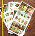 Decoupage Paper Pack (10sheets A4 / 8"x12") Spring Landscapes Garden Wildflowers FLONZ Vintage Ephemera...