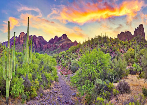 BELECO 7x5ft Fabric National Park Arizona Desert Backdrop Fire-Like Sky Mountain Landscape Green Plants Saguaro Cactus Photography Background West...