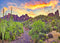 BELECO 7x5ft Fabric National Park Arizona Desert Backdrop Fire-Like Sky Mountain Landscape Green Plants Saguaro Cactus Photography Background West...