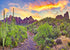 BELECO 7x5ft Fabric National Park Arizona Desert Backdrop Fire-Like Sky Mountain Landscape Green Plants Saguaro Cactus Photography Background West...