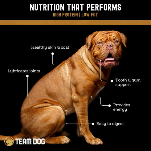Beef Trachea Dog Chews | Single Ingredient Dog Treat | 100% Freeze Dried Beef Gullet Sticks for Dogs | Supports Healthy Teeth & Gums | All Natural...