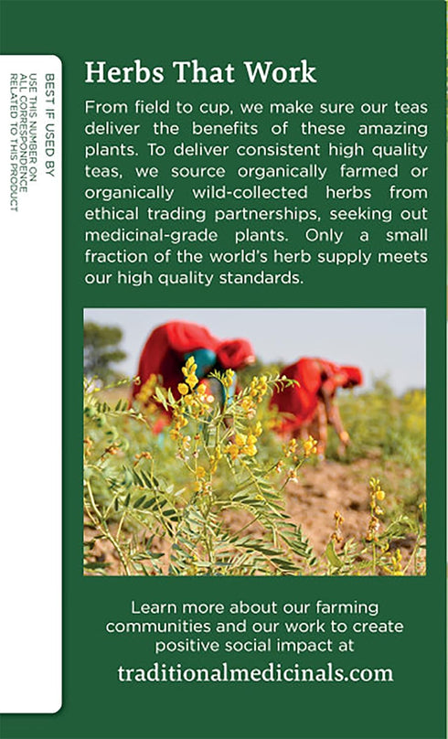 Traditional Medicinals Organic Fennel Herbal Tea, Promotes Digestive Health, (Pack of 2) 32 Tea Bags Total...