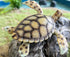 Gemini&Genius Sea Turtle Toy Marine Animal Figure Large Sea Animal Action Figure Ocean Educational Toy, Backyard Garden Decoration, DIY Craft Deco...