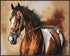 Posterizer 1 pcs- Beautiful brown and white horse with rustic background-Art for Animal Lovers- Gift for Men Women Teens-decor for Bedroom, Offic...