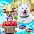 6 Pcs Reflective Dog Collar Soft Padded Breathable Nylon Pet Collar Adjustable Puppy Collar with Safety Locking Buckle for Dogs Cats Puppy Pets Ac...