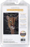 Dimensions Gold Collection in The Shadows Advanced Animal Counted Cross Stitch Kit, 5" x 7", 18 Cnt. Black Aida...