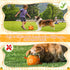 Orange Dog Toys Soccer Ball - Dog Soccer Ball with Straps, Dog Water Toy for for Tug of War, Durable Dog Balls for Large Dogs (8 Inch)...