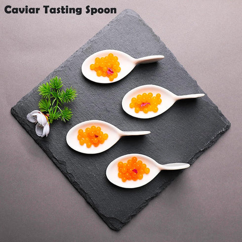 10Pcs Porcelain Tasting Spoons,Caviar Spoons,Sample Spoons for Tasting,4inch Fish Shape Appetizer Plates,Dishwasher Safety,Dessert Tasting Spoons,...