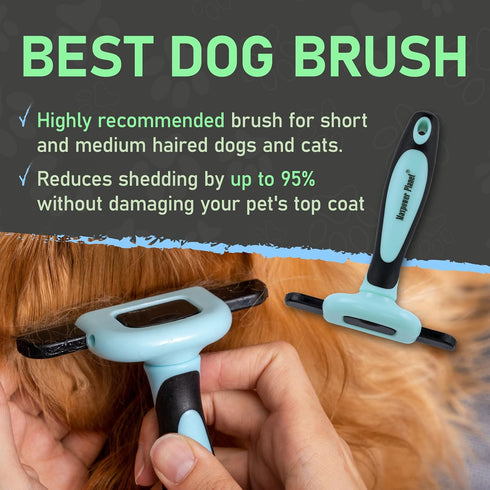 Maxpower Planet Pet Grooming Deshedding Dog Brush - Cat and Dog Deshedding Brush Tool - Deshedder for Dogs Comb - Dog Brush Short Hair and Medium ...