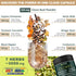 7in1 Clove Supplement Rich in Vitamins & Minerals for Digestive, Immune System, Bone & Heart Health with Cinnamon, Turmeric, Ginger, Cardamom, Gar...