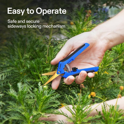 VIVOSUN 3-Pack 6.5 Inch Gardening Scissors Hand Pruner Pruning Shear with Titanium Coated Curved Precision Blades...