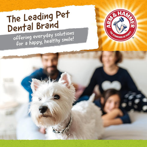 Arm & Hammer for Pets Nubbies Duality Bone Dental Dog Toy| Best Dog Chew Toy for Moderate Chewers | Dog Dental Toy Helps Reduce Plaque & Tartar | ...