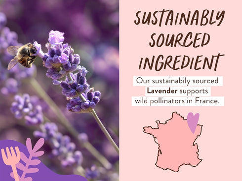 Babo Botanicals Calming Lavender 2-in-1 Bubble Bath & Wash - Relaxing Chamomile & Lavender - EWG Verified- Vegan- For all ages- Scented with Laven...