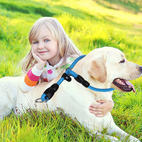 Slip Collar Dog Training Choke Collar, Round Nylon Rope Collar No Pull P-Collar for Small Medium Large Dogs (Blue S)...