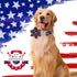 Unique Style Paws 4th of July Dog Collar with Bow American Flag Dog Collar with Bow Tie Adjustable Patriotic Dog Collar for Small Medium Large Dog...