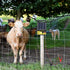 Electric Fence Wire Connect The Energizer and Electric Fence Charger Solar Fence Charger Solar Powered Electric Fence, Solar Electric Fence, Elect...