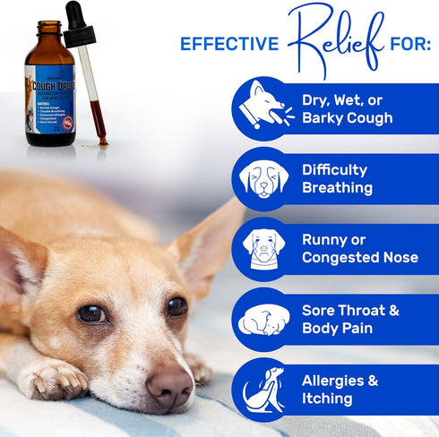 Dog Cough Treatment - Kennel Cough Treatment - Dog Allergy Relief - Itch Relief - Wet & Dry Cough Suppressant - for Dogs & Cats - XanderPets USA 1...