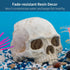 Uniclife Aquarium Skull Reptile House Decor Resin Head Skeleton Ornament for Tank Landscape Decorative Hideout Cave Shelter for Small Fish Shrimp ...