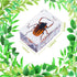 9 Pcs Insect in Resin Specimen Bugs Collection Paperweights Arachnid Butterfly Bug Toys Different Real Bugs in Resin Educational Science Classroom...