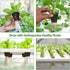 50PCS 2 inch Net Pots, Hydroponics Cup, Net Cups for Indoor or Outdoor Growing...