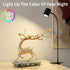 Dott Arts Desk Lamp,USB Clip On Light with 3 Color Modes,LED 10 Levels Brightness Reading Light, 360°Gooseneck Book Light,Eye-Care Reading Lamp fo...