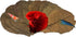 Awesome Aquatic Shrimp Leaves 10 4"-6" Premium Catappa Indian Almond Leaves Natural Habitat Tannin Producing Natural Food Improves Immunity Easy t...
