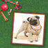RIOLIS - Pug Dog 1176, Dogs Cross Stitch Kits 9,84" x 9,84", Counted Cross Stitch Kits, Counted Cross Stitch Kits for Beginners & Advanced, Cross ...