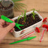 6pcs Mini Seed Spreader, Manual Seedlings Dibber and Widger Set Handheld Garden Hand Seed Sower Planter Tool Small Sowing Seed Dispenser for Tiny ...