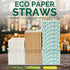 Aqua Paper Straws 10 Inch Extra Long - for Tall Drinks, Baby Shower, Parties, Cocktails - 100 Counts...