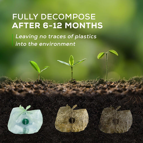 ANECO 100% Compostable Food Waste Bags 1.6 Gallon With Handles (30 Count), Small Compost Bags for Countertop Bin, OK Compost HOME & BPI Certified ...