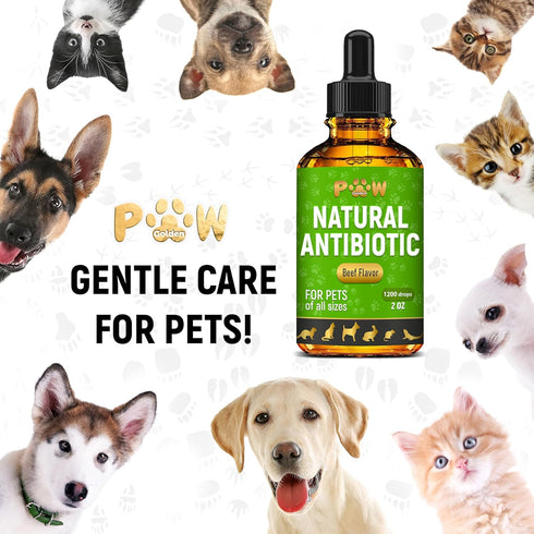 Antibiotic for Cats | Natural Antibiotics for Dogs | Cat Antibiotics | Dog Antibiotic | Antibiotic for Dogs | Natural Antibiotics for Cats | Natur...