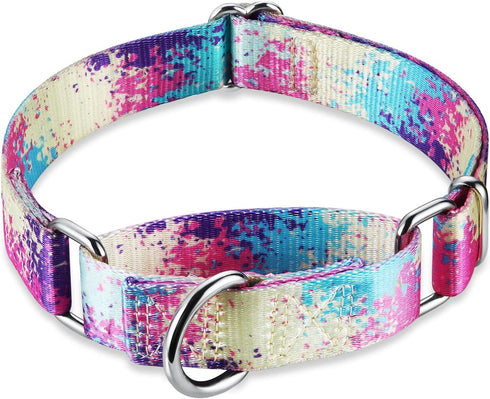 Martingale Dog Collars Colourful Oil painting Pattern series - No Pull Pet Collar Silky Soft for Medium and Large Dogs (Medium, 1 Inch Wide, Profu...