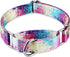 Martingale Dog Collars Colourful Oil painting Pattern series - No Pull Pet Collar Silky Soft for Medium and Large Dogs (Medium, 1 Inch Wide, Profu...