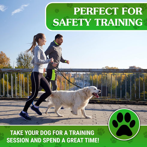 Heavy Duty Dog Leash 4-6Ft Length – Reflective Dog Leash for Medium, Large Dogs – Shock Absorbing Bungee Dog Leash with Zinc Alloy Carabiner, Traf...
