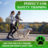 Heavy Duty Dog Leash 4-6Ft Length – Reflective Dog Leash for Medium, Large Dogs – Shock Absorbing Bungee Dog Leash with Zinc Alloy Carabiner, Traf...